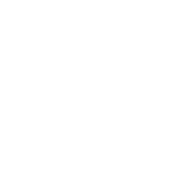 survey